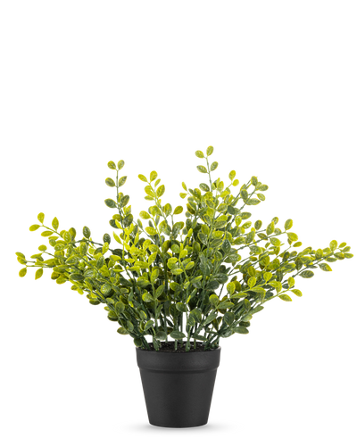 De Kunstplant Theebladeren 25 cm is een klein groen bladplantje met gele bladeren in een eenvoudige zwarte pot, op een effen witte achtergrond.