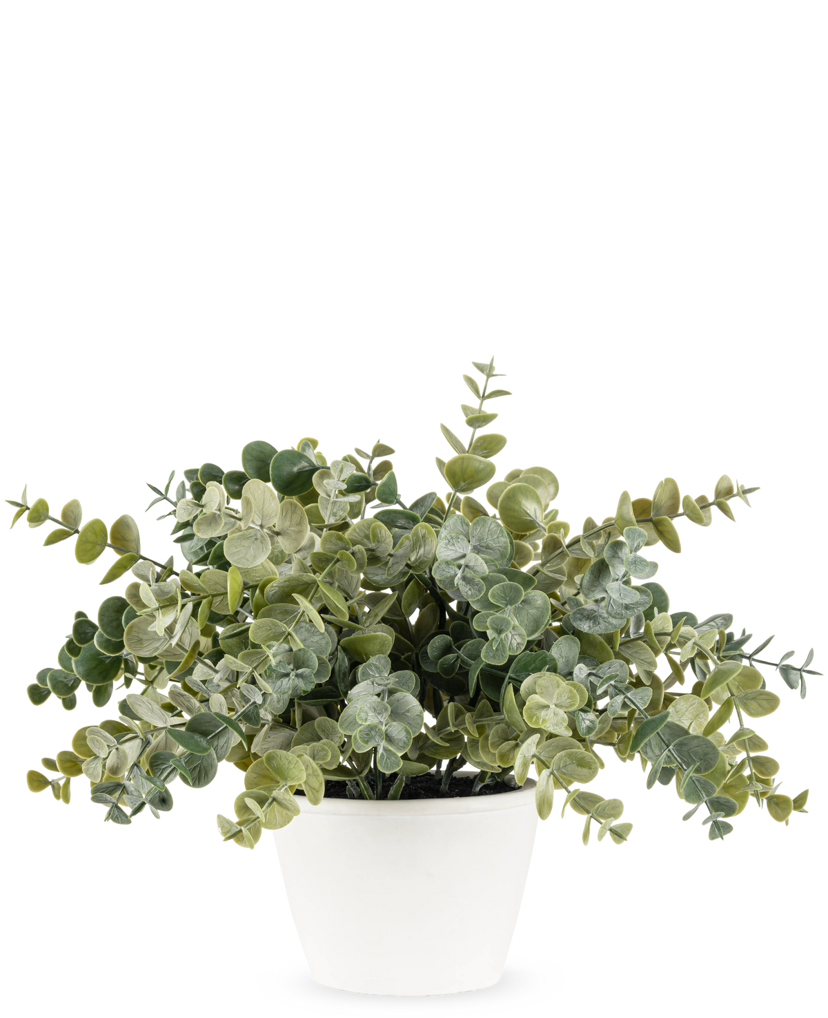 The Artificial Eucalyptus 23 cm plant has lush, round green leaves and comes in a simple white pot, perfect for brightening up any space with its natural look against a plain background.