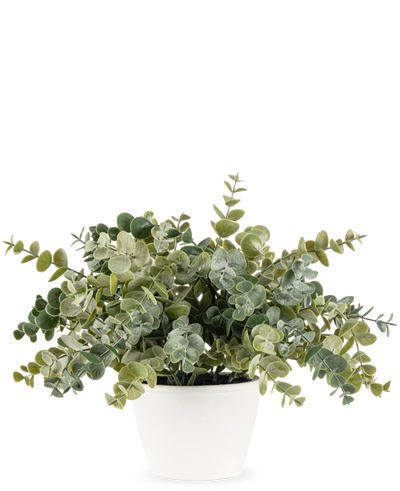 De Kunstplant Eucalyptus 23 cm heeft weelderige, ronde groene bladeren en wordt geleverd in een eenvoudige witte pot, perfect om elke ruimte op te fleuren met zijn natuurlijke uitstraling tegen een effen achtergrond.
