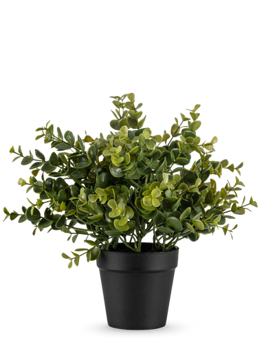 De Kunstplant Pumila 25 cm is een kleine kunstplant in pot met weelderige groene bladeren in een eenvoudige zwarte pot, afgebeeld tegen een effen witte achtergrond.