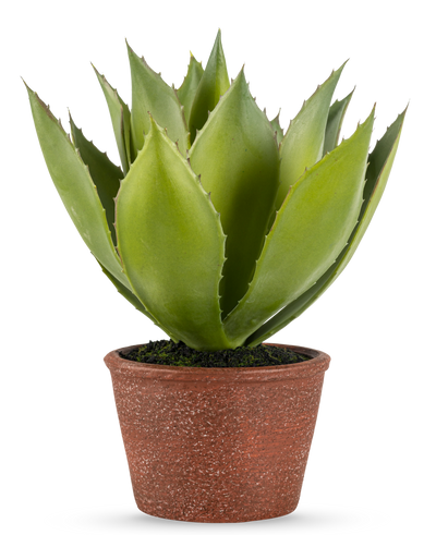 De Kunstplant Agave 25 cm heeft dikke, puntige groene bladeren in een roodbruine pot met textuur, tegen een effen witte achtergrond.