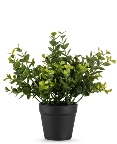 De Kunstplant Pumila 20 cm is een kleine kunstplant in pot met ronde groene bladeren in een eenvoudige zwarte pot, weergegeven op een effen witte achtergrond.