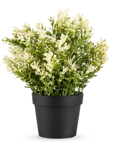 De Kunstplant Buxus in pot UV 23 cm is een kleine kunstplant in pot met dicht groen blad in een eenvoudige zwarte pot, perfect om elke ruimte op te fleuren.