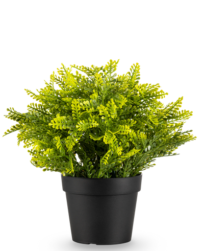 De Kunstplant Varen in pot UV 22 cm is een kleine kunstvaren met dichte groene bladeren in een eenvoudige zwarte pot, tegen een effen witte achtergrond.