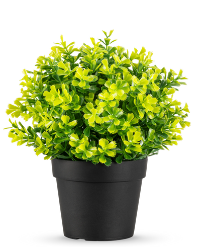 De Kunstplant Rozemarijn UV 22 cm heeft heldergroene en gele bladeren in een effen zwarte plastic pot, tegen een witte achtergrond.