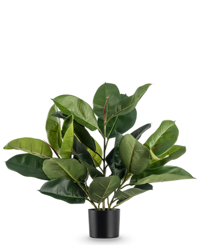 De Kunstplant Rubberplant 51 cm heeft weelderige, brede diepgroene bladeren in een eenvoudige zwarte pot, tegen een effen witte achtergrond.