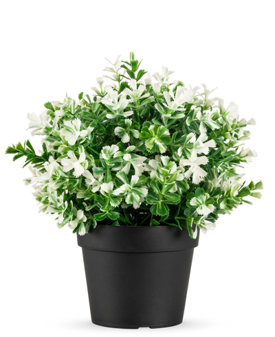 The Artificial Boxwood white plant in pot UV 19 cm has dense green leaves and numerous white flowers, arranged in a simple black pot against a plain white background.