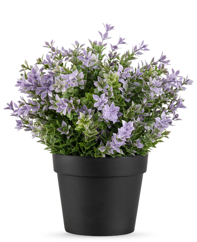 De Kunstplant Buxus paars UV 22 cm heeft een zwarte bloempot met een weelderige kunstplant met kleine lichtpaarse bloemen en groene bladeren tegen een effen witte achtergrond.