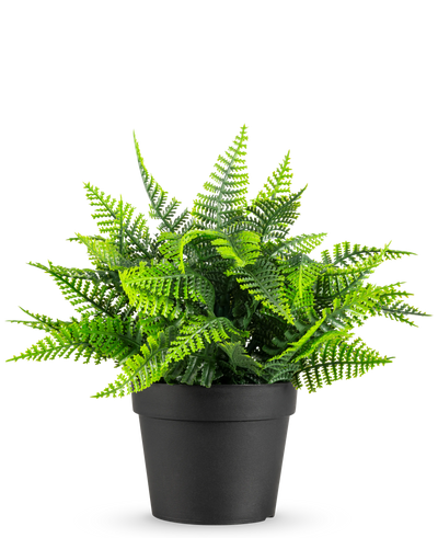 De Kunstplant Varen in pot UV 23 cm heeft een levensechte groene varen met gevederde bladeren in een eenvoudige zwarte pot, tegen een witte achtergrond.