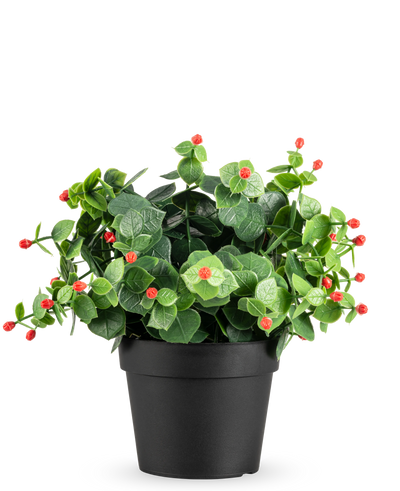 De Kunstplant Eucalyptus rood in pot UV 22 cm heeft groene bladeren en kleine rode knoppen in een eenvoudige zwarte pot, tegen een effen witte achtergrond.