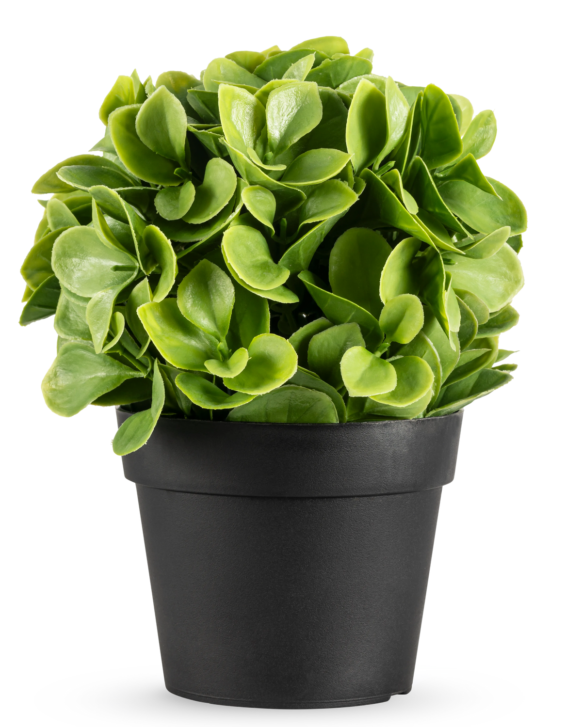 The Artificial Plant Murraya UV 20 cm is a small, round artificial plant with lush green leaves in a simple black pot, against a plain white background.