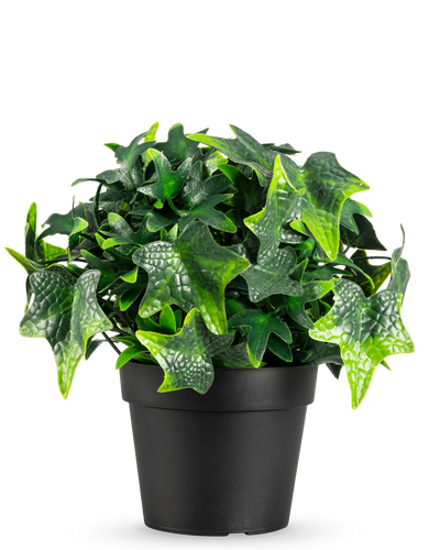 De Kunstplant Klimop in pot UV 20 cm heeft groene, stervormige kunstmatige klimopbladeren in een eenvoudige zwarte pot, afgebeeld tegen een witte achtergrond.