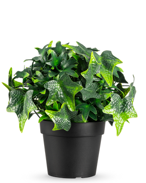 De Kunstplant Klimop in pot 20 cm UV heeft weelderige, groene stervormige klimopbladeren in een strakke zwarte plastic pot, op een effen witte achtergrond.