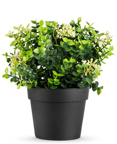De Kunstplant Eucalyptus mix UV 22 cm heeft heldergroene bladeren en kleine witte bloemen in een eenvoudige zwarte pot, tegen een witte achtergrond.