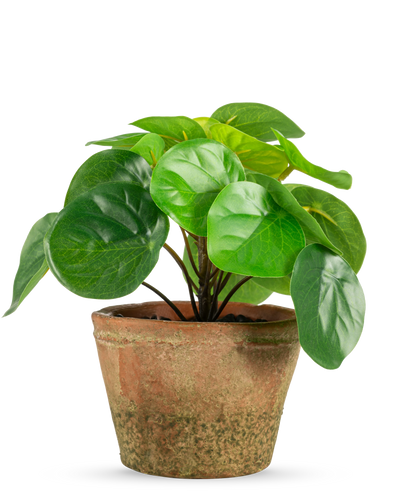 The Artificial Plant Pilea in pot mini UV 15 cm has round, glossy green leaves in a weathered brown terracotta pot, against a plain white background.