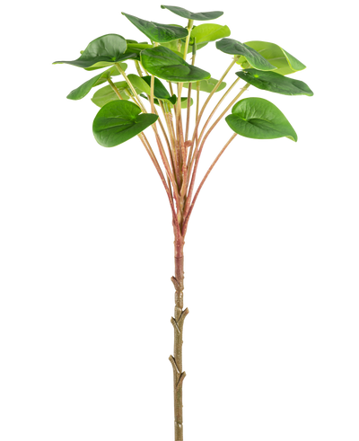 Een Kunst Pilea Pannenkoekplant 50 cm met een slanke bruine stengel, lange roodachtige stengels en grote ronde groene bladeren wordt getoond tegen een effen witte achtergrond.