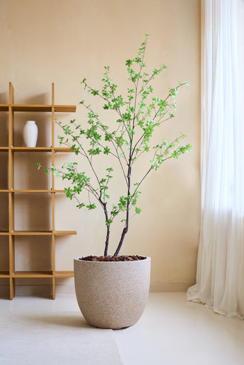 De Kunstplant Enkianthus 180 cm, een levensechte kunstboom met groene bladeren in een grote beige plantenbak gevuld met bruine stenen, staat in een minimalistische kamer met een houten plank, witte vaas, crèmekleurige muren en transparante witte gordijnen.