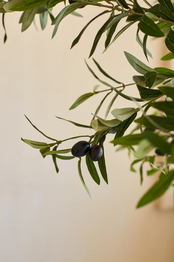 A branch of an olive tree with green leaves and two dark purple olives against a beige background, which evokes the realistic appearance of the Artificial Olive Tree 200 cm.