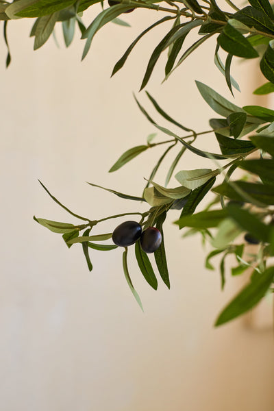 A branch of an olive tree with green leaves and two dark purple olives against a beige background, which evokes the realistic appearance of the Artificial Olive Tree 200 cm.