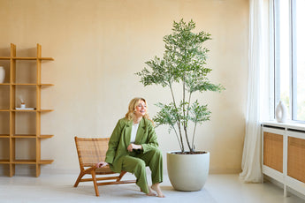 A woman in a green suit smiles as she sits on a wooden chair next to the Artificial Ruscus 180 cm plant in a bright, modern room with beige walls, large windows and minimalist decor.