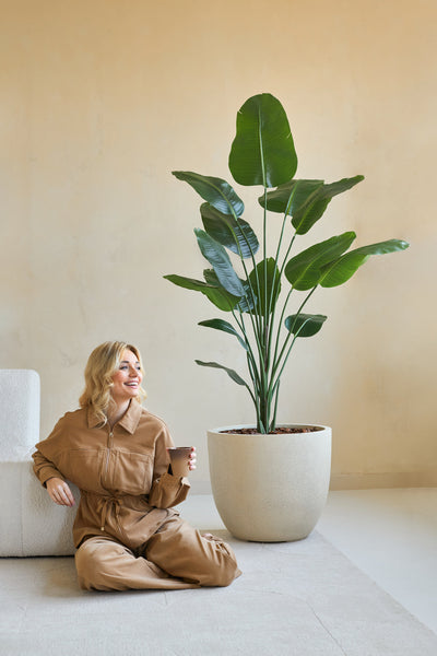 A woman in a brown jumpsuit sits smiling on the floor with a coffee cup next to her, next to the Artificial Plant Strelitzia 180 cm real touch in a minimalist room with beige walls.
