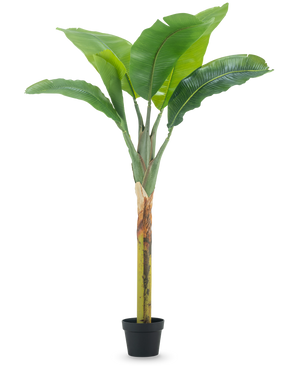 Artificial Banana Tree 150 cm