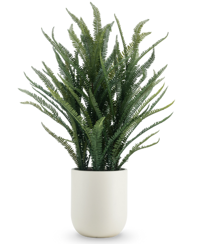 De Kunstplant Bostonvaren 127 cm heeft lange, smalle groene bladeren die omhoog en naar buiten groeien. Ze staat in een gladde witte pot tegen een effen witte achtergrond.