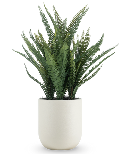 De Kunstplant Bostonvaren 82 cm heeft lange, smalle groene bladeren en wordt geleverd in een eenvoudige ronde witte pot, tegen een effen witte achtergrond.