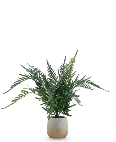 De Kunstplant Varen 51 cm is een kunstvaren met lange, groene, vederachtige bladeren in een eenvoudige ronde pot van lichtgekleurd keramiek, tegen een effen witte achtergrond.