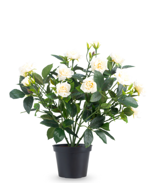 Artificial plant Patio rose 35 cm cream