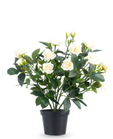 De Kunstplant Patio-roos 35 cm crème heeft meerdere stelen, groene bladeren en crèmekleurige bloesems in een pot, tegen een effen witte achtergrond.