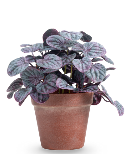 De Kunstplant Rugose blad 26 cm grijs heeft ronde, gestructureerde groene en paarse bladeren in een eenvoudige bruine terracotta pot, tegen een effen witte achtergrond.