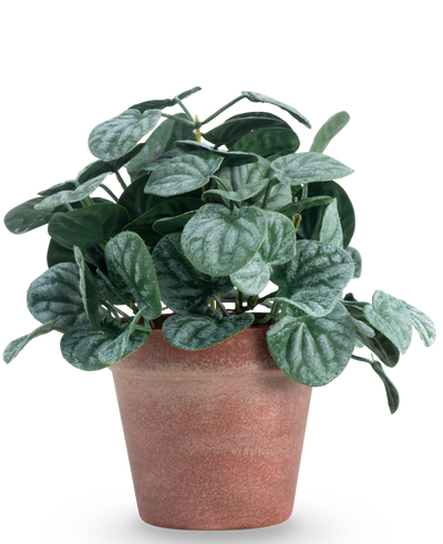 De Kunstplant Rugose blad 26 cm groen heeft ronde, groen getextureerde bladeren in een roodbruine pot van klei, tegen een effen witte achtergrond.