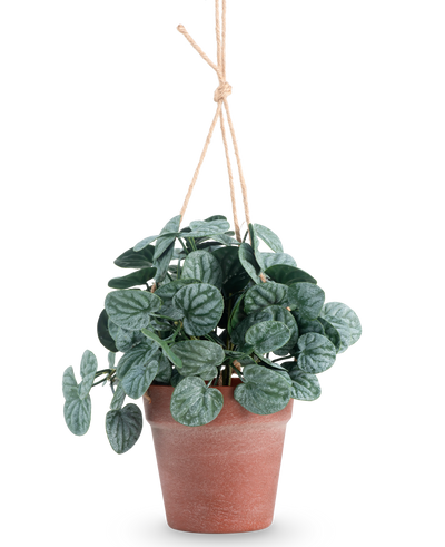 De Kunstplant Rugose blad 29 cm groen in hangpot heeft ronde, donkergroene bladeren in een bruine hangpot, tegen een effen witte achtergrond.