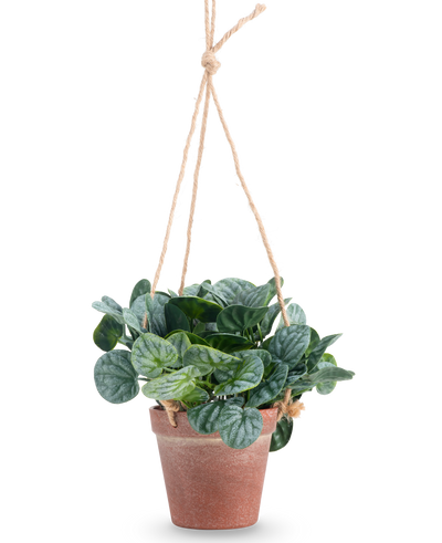 De Kunstplant Rugose blad 18 cm groen heeft ronde groene bladeren in een terra-cotta hangpot, opgehangen aan tan touw, tegen een effen witte achtergrond.