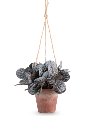 De Kunstplant Rugose blad (18 cm) is een kunstplant met ronde, bladgroene bladeren in een rustiek grijze hangpot, opgehangen aan een tan touwhanger, tegen een effen witte achtergrond.