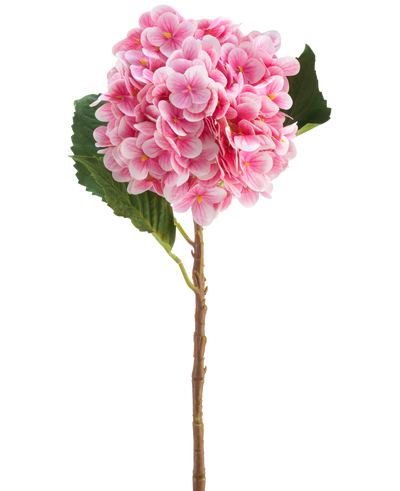 De Kunstbloem Hortensia Real Touch roze 58 cm is een enkele roze kunsthortensiastengel met groene bladeren, met een ronde bloei van vele kleine bloemblaadjes, prachtig gedetailleerd en geïsoleerd op een witte achtergrond.