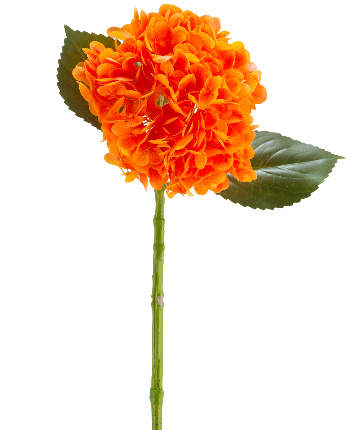 The Artificial Flower Charlotte Hydrangea Real Touch orange 55 cm has a vibrant orange hydrangea flower with petals, a green stem and two large green leaves against a white background.