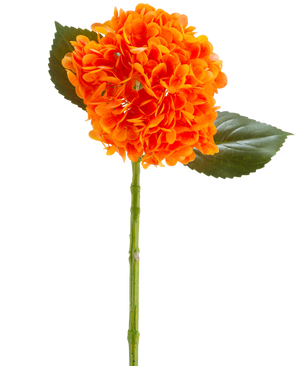 De Kunstbloem Charlotte Hortensia Real Touch oranje 55 cm heeft een levendige oranje hortensiabloem met bloemblaadjes, een groene steel en twee grote groene bladeren tegen een witte achtergrond.