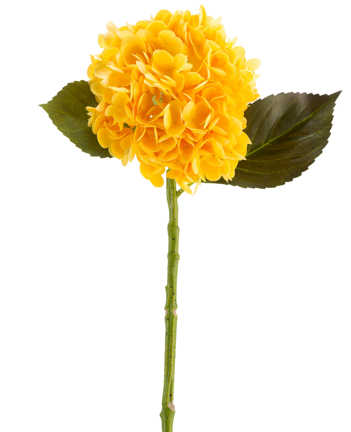 The Artificial Flower Charlotte Hortensia Real Touch in yellow, 55 cm, is a single artificial hydrangea flower with green leaves and a long stem, against a white background.