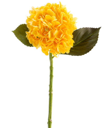 De Kunstbloem Charlotte Hortensia Real Touch in geel, 55 cm, is een enkele kunsthortensiabloem met groene bladeren en een lange steel, tegen een witte achtergrond.