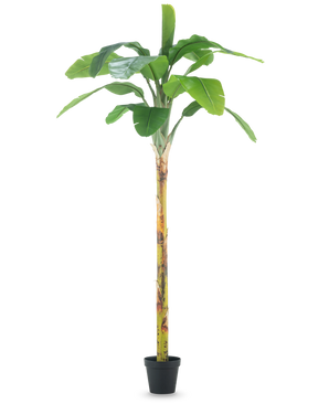 Artificial Banana Tree 250 cm