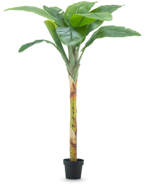Artificial Banana Tree 180 cm