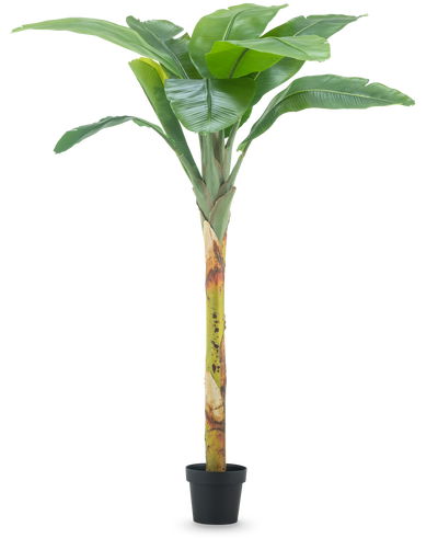 De Kunstplant Bananenboom 180 cm heeft brede groene bladeren en een gestructureerde steel in een kleine zwarte pot, tegen een effen witte achtergrond.