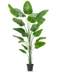 Artificial Plant Strelitzia 240 cm Real Touch