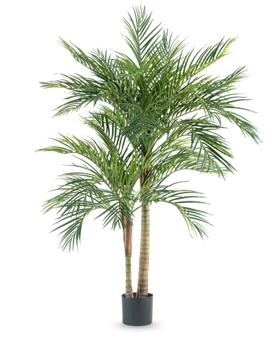 De Kunstplant Areca 180 cm is een hoge kunstpalm met meerdere slanke stammen en lange groene bladeren, in een eenvoudige zwarte pot tegen een witte achtergrond.
