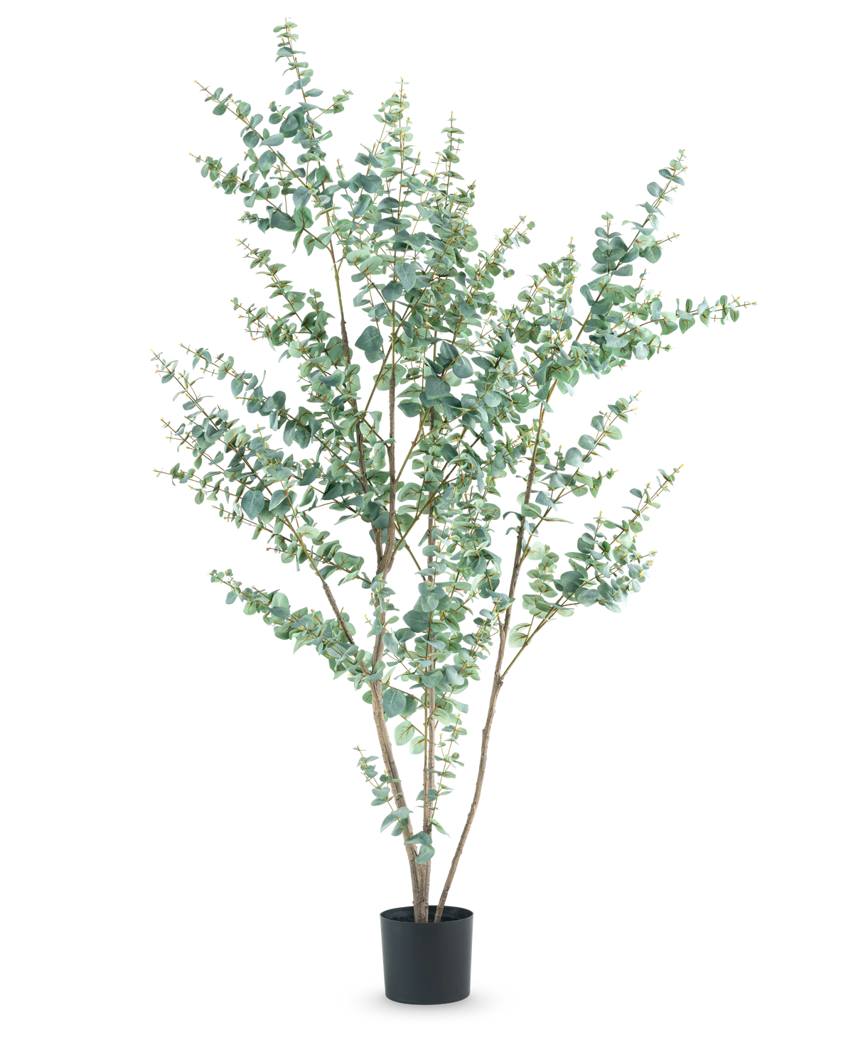 The Artificial Plant Eucalyptus 210 cm is a tall artificial eucalyptus in a simple black pot, with several slender branches and round, silver-green leaves against a white background.