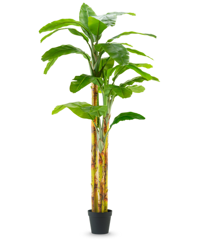 De Kunstplant Bananenboom 270 cm heeft brede groene bladeren en geelgroene stelen in een kleine zwarte pot, tegen een effen witte achtergrond.