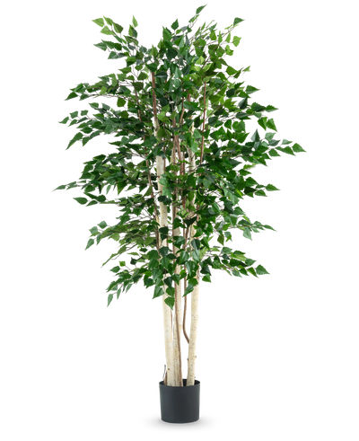 De Kunstplant Ruwe Berk 210 cm heeft meerdere slanke witte stammen en dichte groene bladeren, hoog in een zwarte pot tegen een effen witte achtergrond.