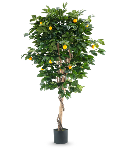 Een hoge Kunstplant Sinaasappelboom 180 cm met weelderige groene bladeren en verschillende oranje vruchten, tegen een effen witte achtergrond.